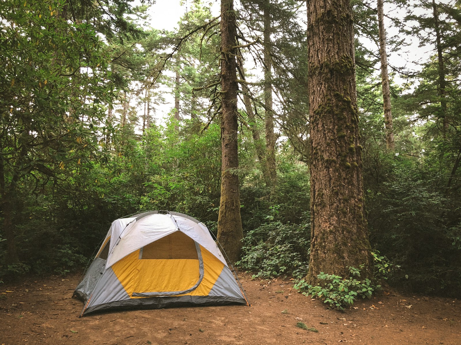 Outdoor事業のテント