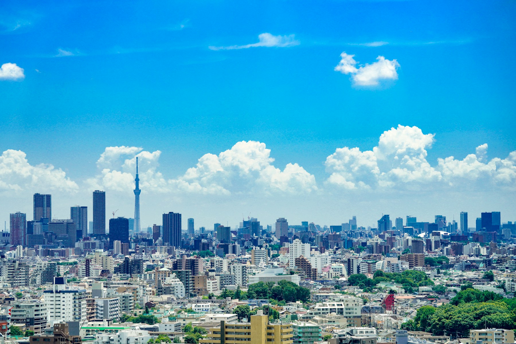 顧客・市場